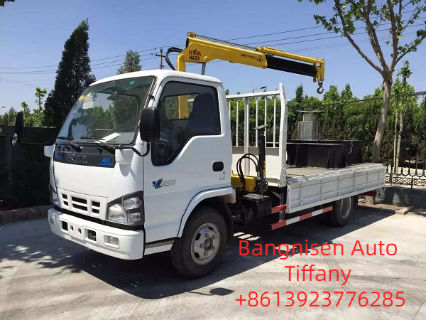 Shenzhen Bangnisen Auto shipped  Used Isuzu Crane Truck (图1)